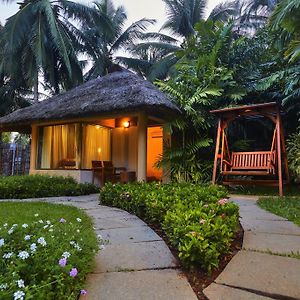 Coco Lagoon By Great Mount